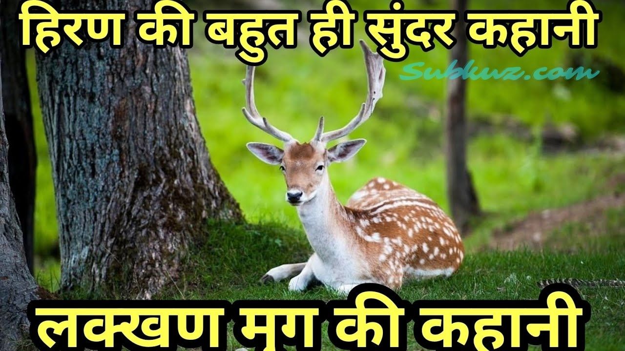 लक्खण मृग की कहानी. प्रसिद्ध हिंदी कहानियां. पढ़े subkuz.com  पर !