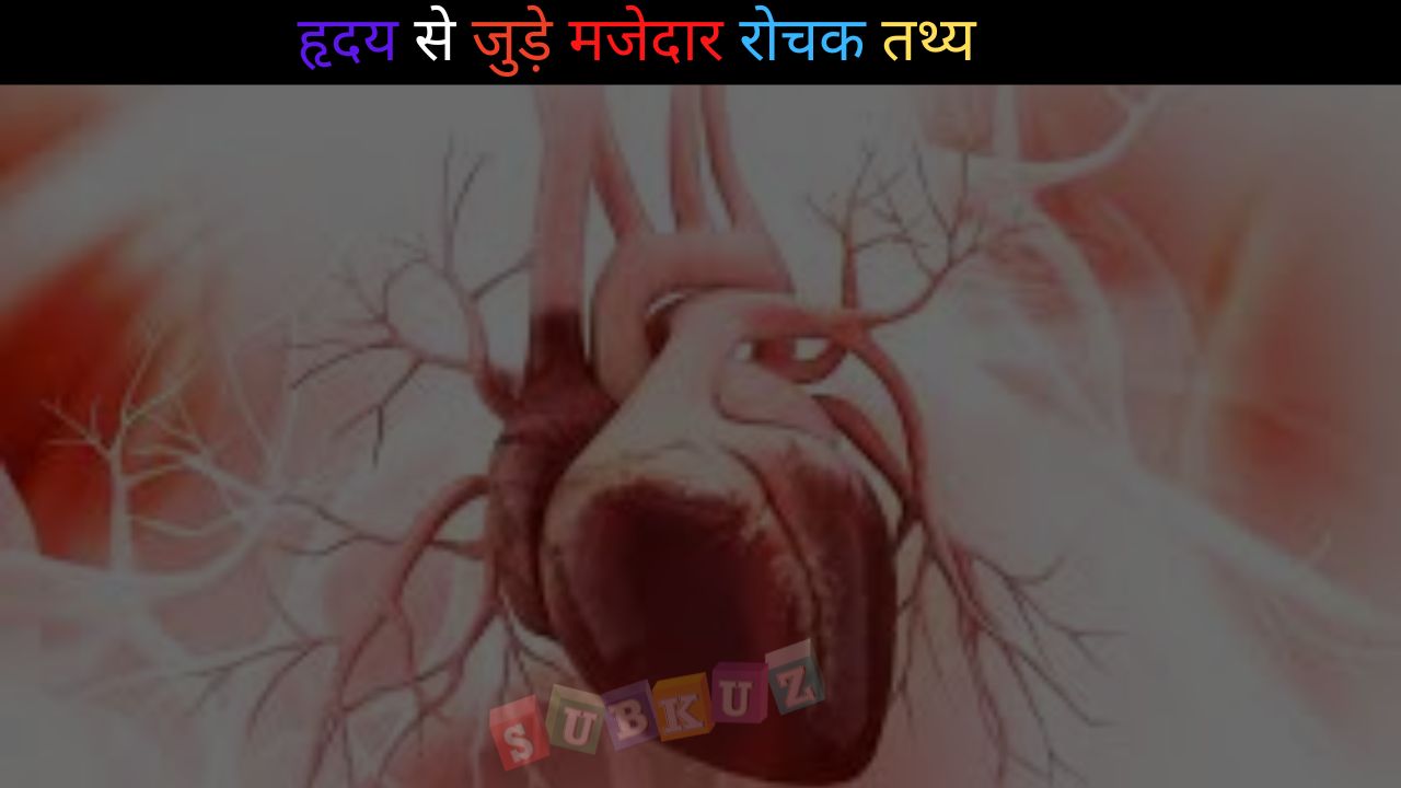 इंसान  के (heart)हृदय से जुड़े मजेदार रोचक तथ्य   