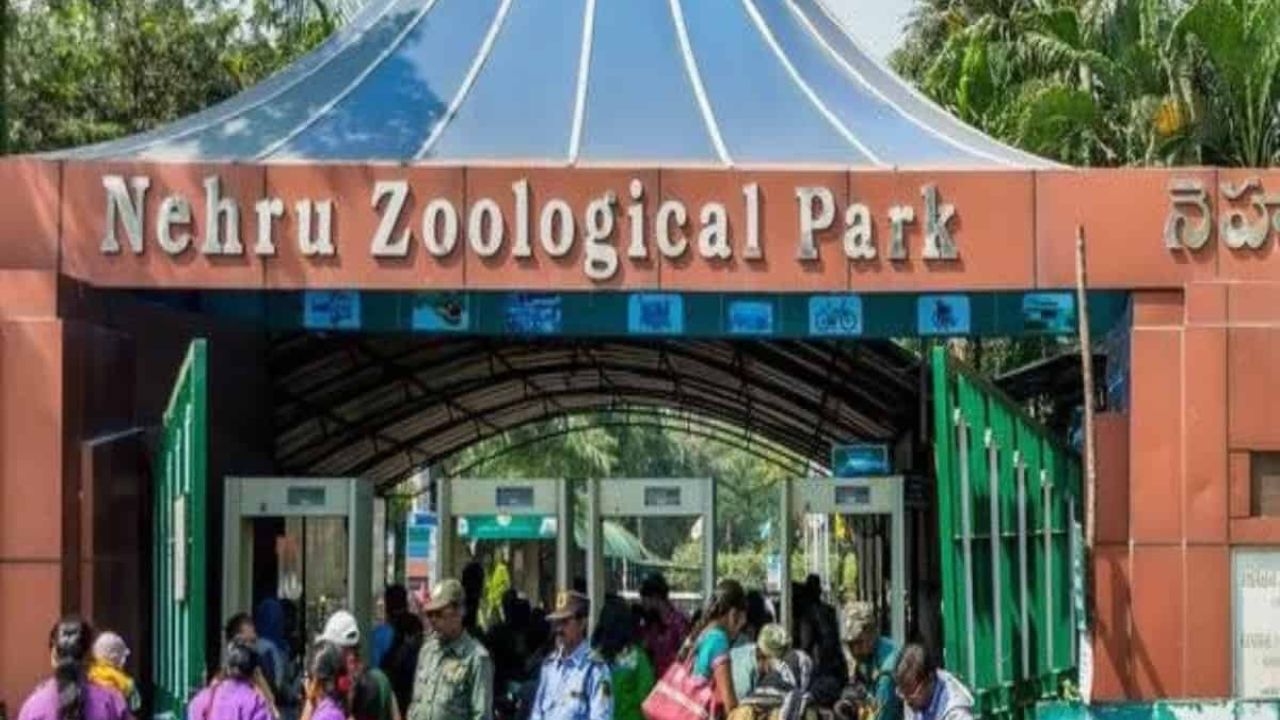 तेलंगाना:- नेहरु जूलॉजिकल पार्क के टिकट के दाम हैं बढ़ने वाले 