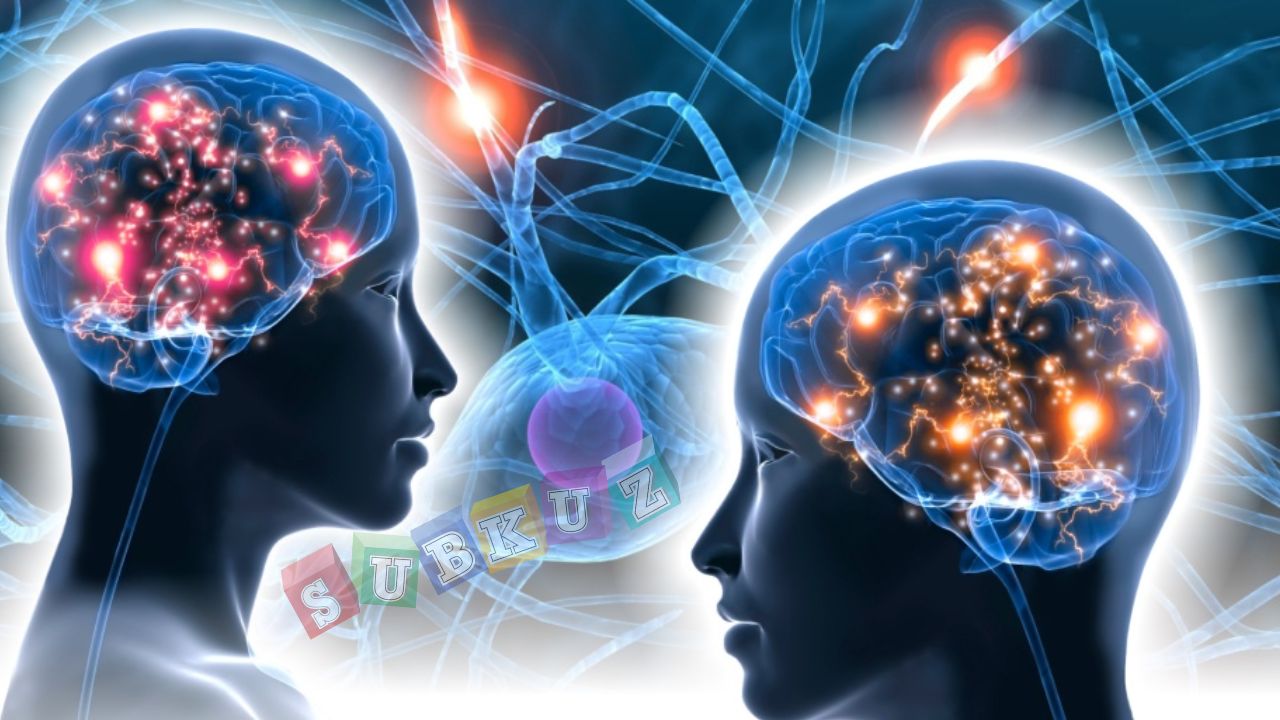 ब्रेन मैपिंग टेस्ट क्या है ? यह क्यों होता है ?