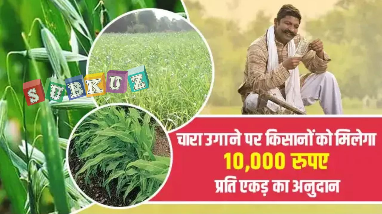 चारा और चारा विकास योजना 2022, चारा विकास योजना के लिए आवेदन कैसे करें ?