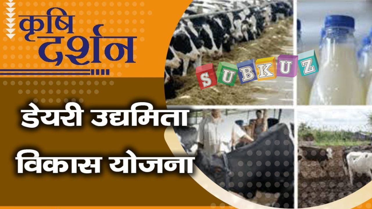 डेयरी उद्यमिता विकास योजना 2022, जानिए क्या है डेयरी उद्यमिता विकास योजना के उद्देश्य?