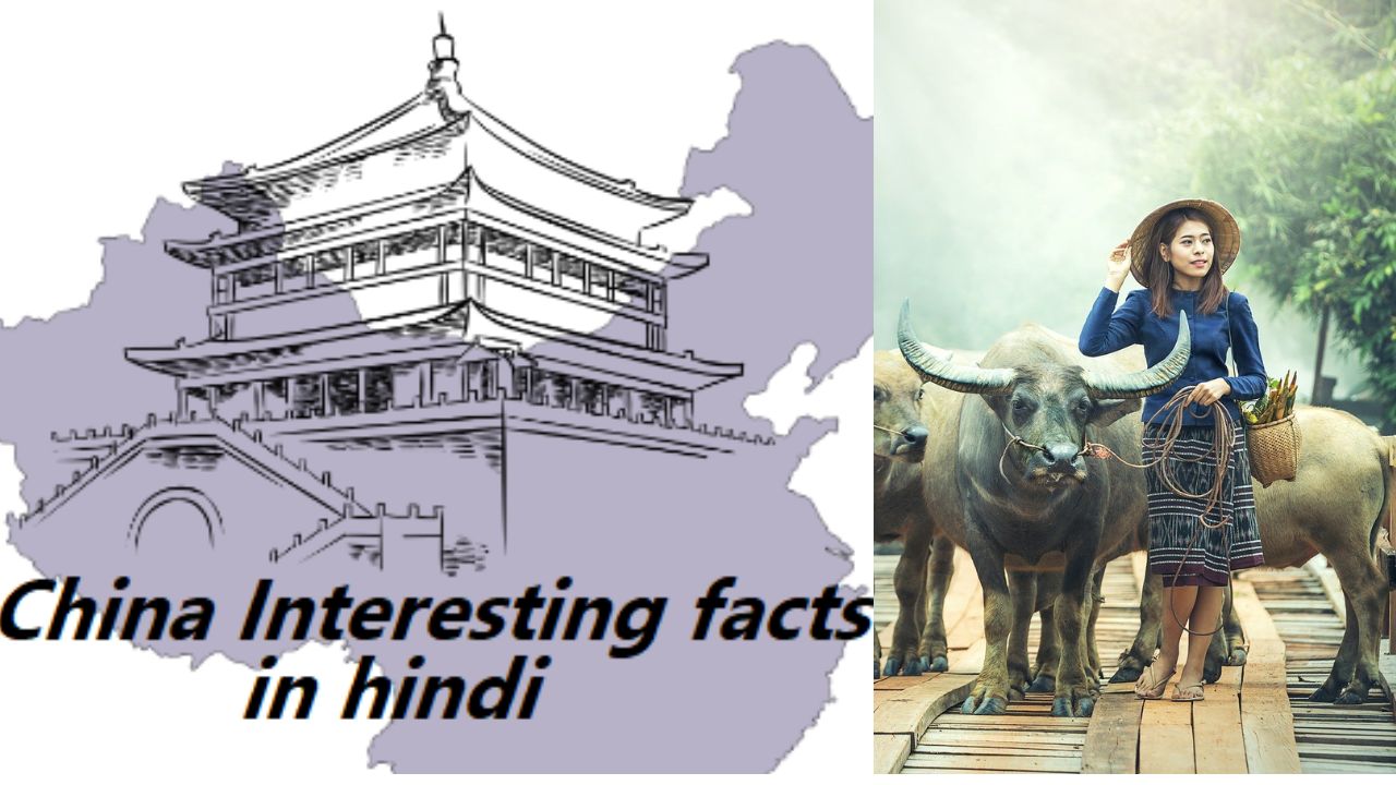 चीन का इतिहास क्या है ? जानें इससे जुड़े महत्वपूर्ण रोचक तथ्य  