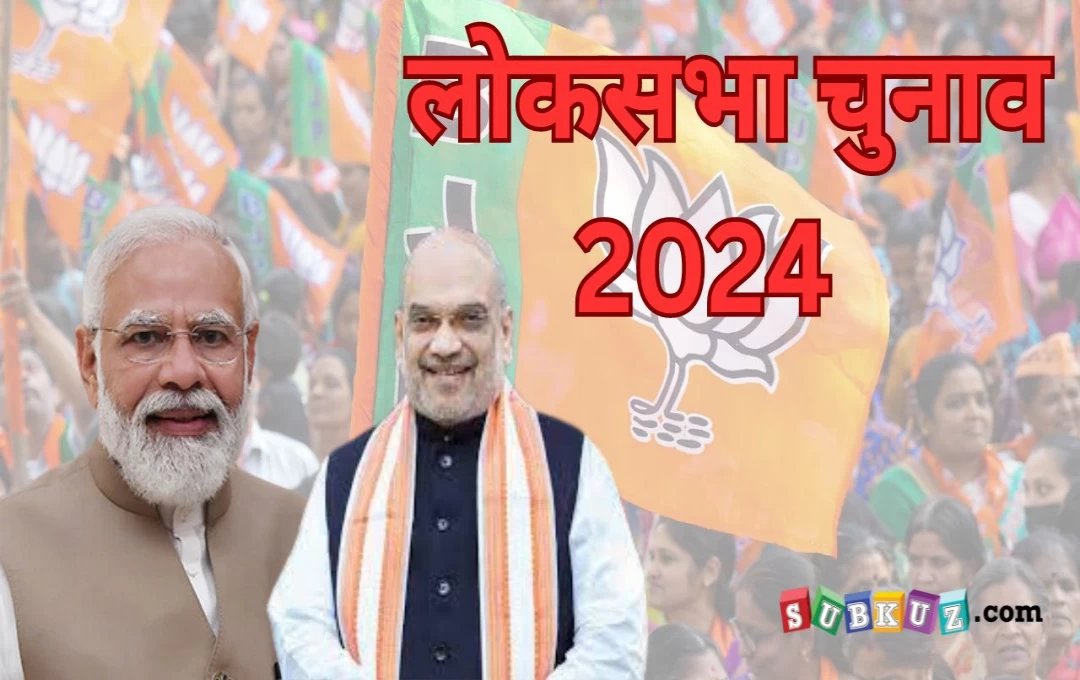 लोकसभा चुनाव 2024: दिल्ली में बीजेपी का फेरबदल, सांसदों को फिर मिल सकता है मौका, क्या है प्लान?