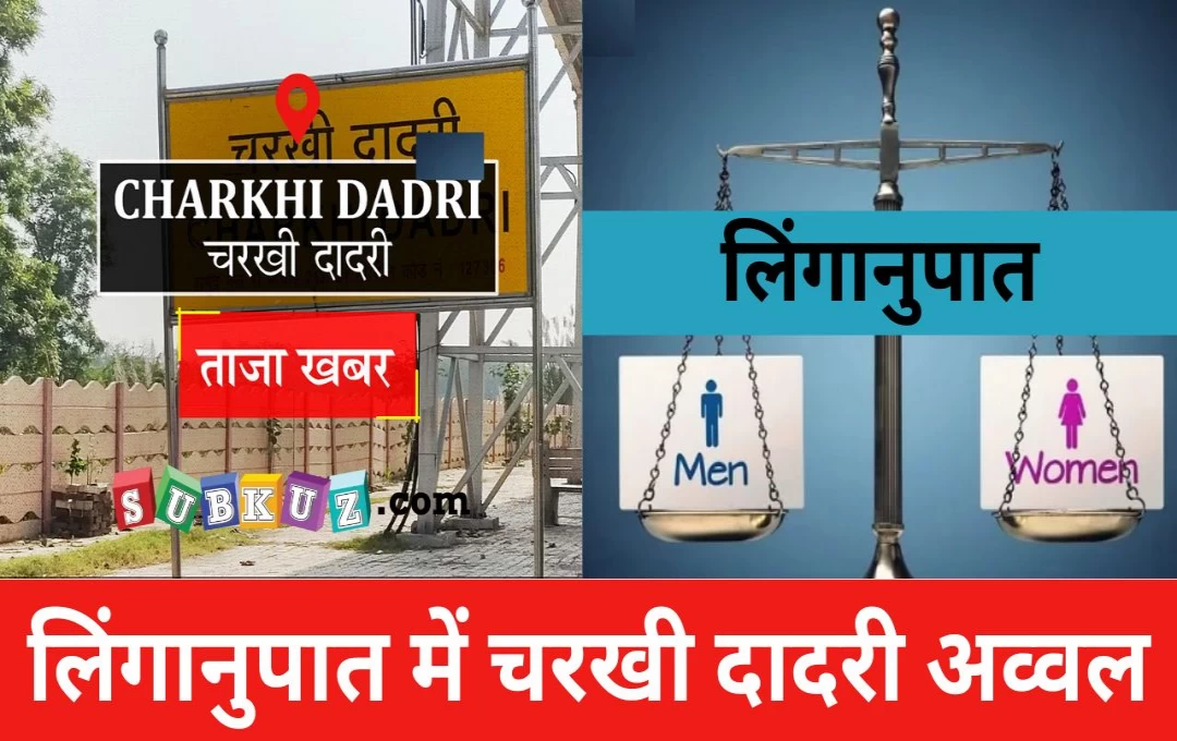 Charkhi Dadri News: जनगणना आयोग की रिपोर्ट; लिंगानुपात में चरखी दादरी प्रदेश में अव्वल, महेंद्रगढ़ और गुरुग्राम रह गए पीछे 