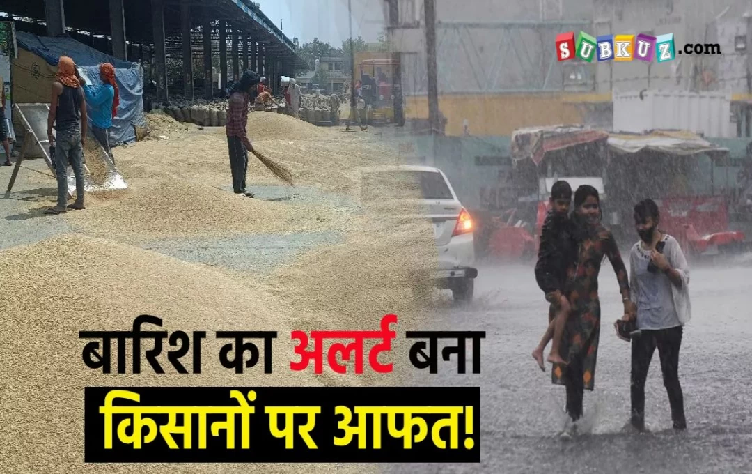 Haryana Weather News: किसानों की बढ़ेगी मुसीबत, हरियाणा के आठ जिलों में बारिश का अलर्ट; ओले गिरने की भी संभावना 