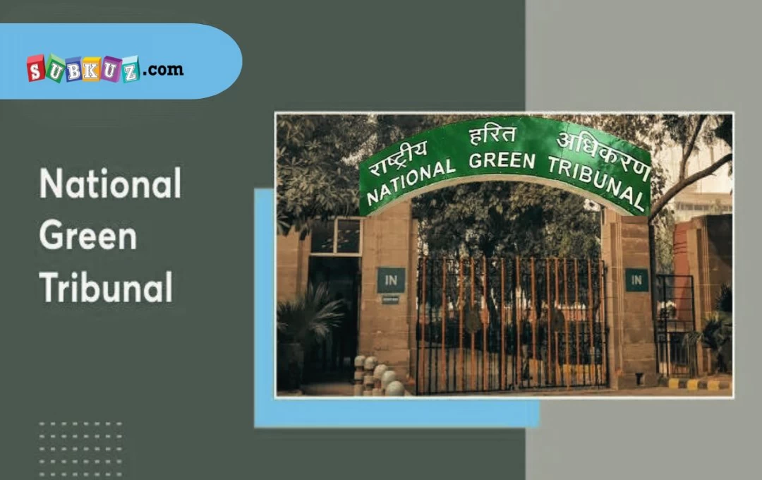 Haryana: फसल अवशेषों को जलाने पर कृषि विभाग का एक्शन, GPS लोकेशन के साथ किसान के पास पहुंचेगी फोटो, खिलाफ होगी कार्रवाई 