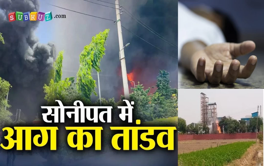 Sonipat Factory Blast: फैक्ट्री में धमाके से फटा स्प्रिट टैंक, एक कर्मचारी की मौत, फैक्ट्री में भीषण आग के बाद मची अफरा-तफरी 