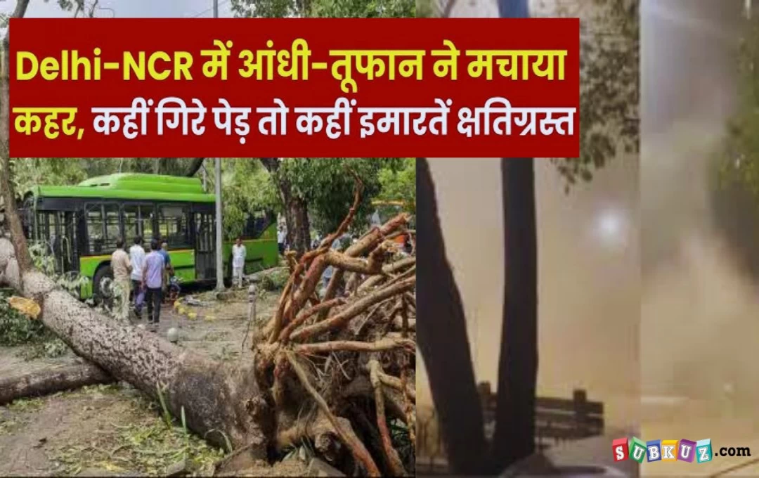 Delhi: दिल्ली NCR में तेज आंधी-तूफान, कई इमारतों व पेड़ क्षतिग्रस्त, तूफान की तबाही में 2 लोगों की मौत और दो दर्जन घायल  