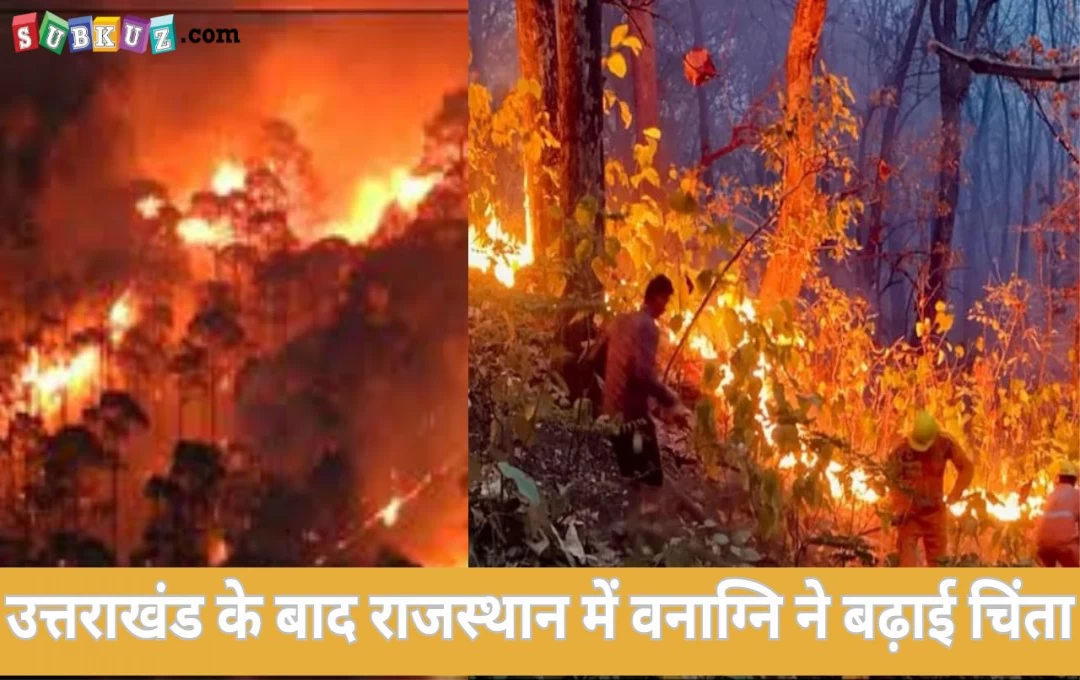 Rajasthan: उत्तराखंड के बाद राजस्थान में वनाग्नि ने बढ़ाई चिंता, जंगली जीवों पर मंडराया खतरा 