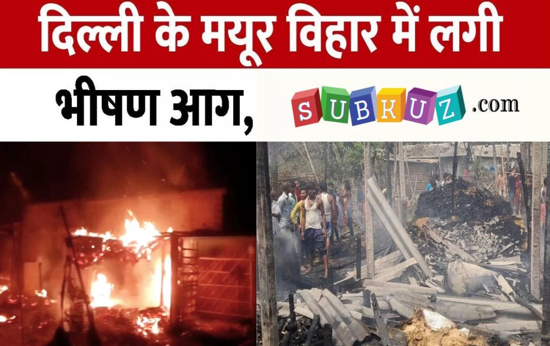 Delhi Accident News: मयूर विहार में भयंकर आग की चपेट में आने से 13 झुग्गियां जलकर हुई राख, दो सिलेंडर सहित अन्य घरेलू सामान जले 