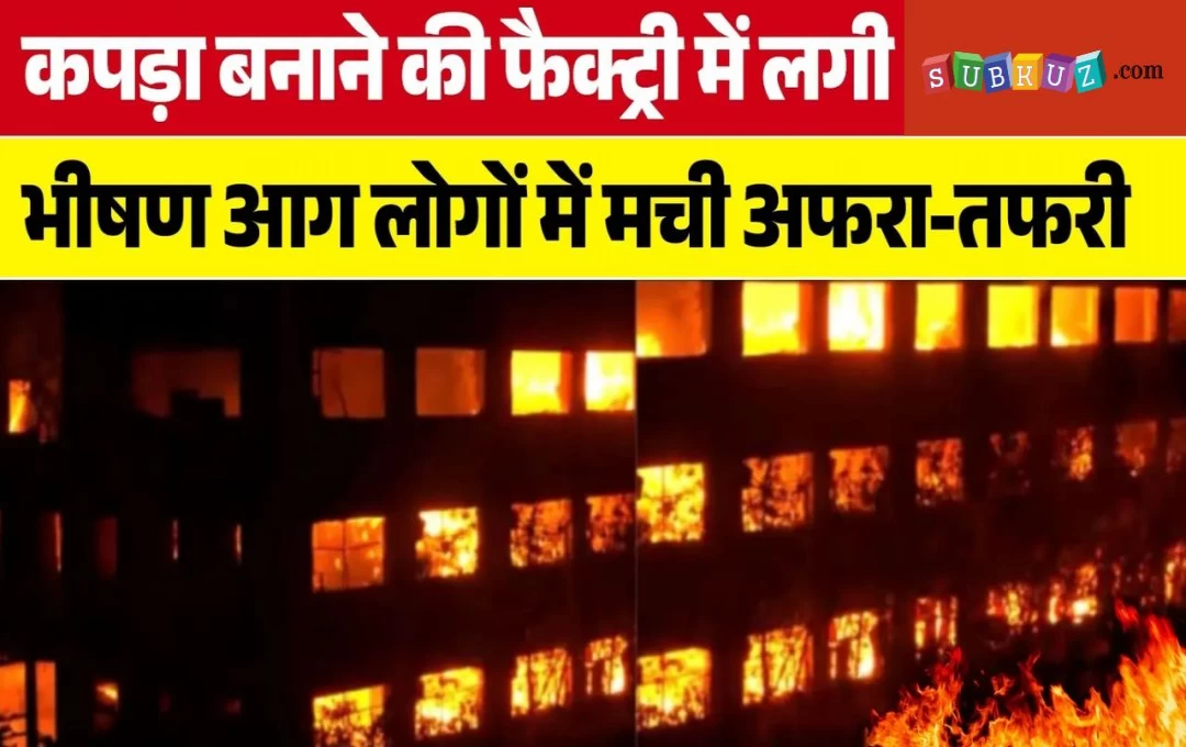 Gurugram Fire Accident: मानेसर में कपड़ा बनाने की कंपनी में लगी भयंकर आग, लाखों का माल जलकर हुआ राख, कैसे हुआ हादसा? जानें 