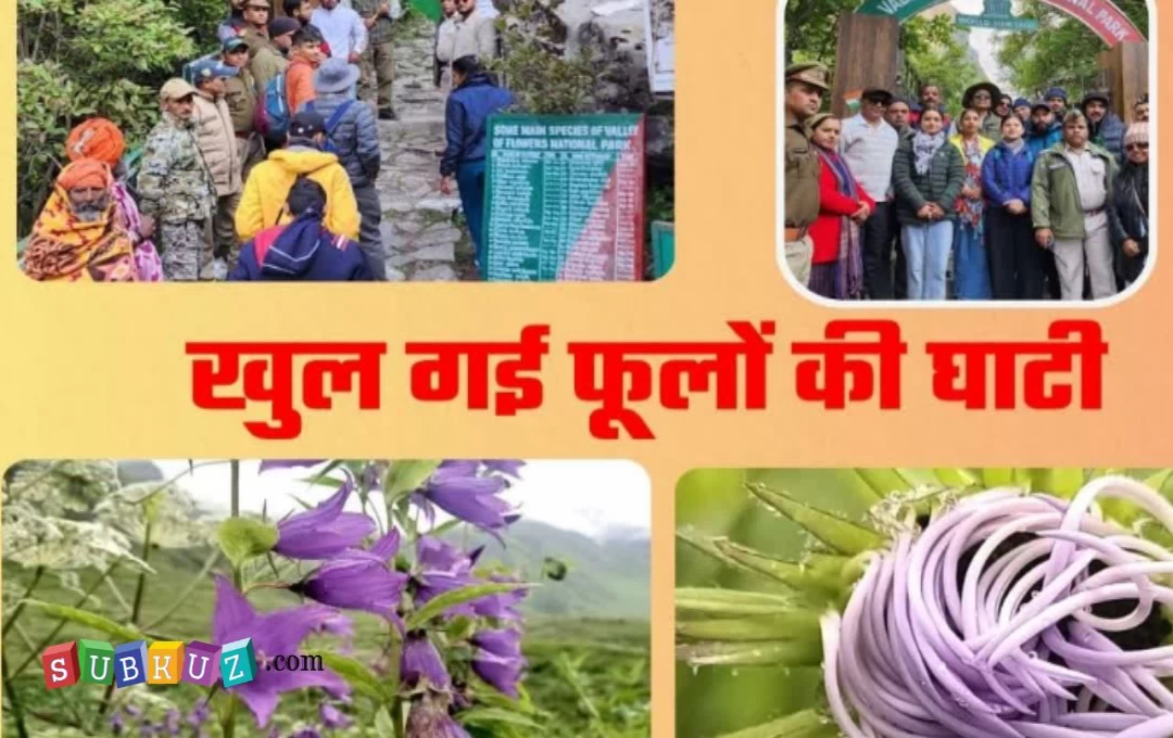 Valley of Flowers Open: शनिवार को खुली विश्व प्रसिद्ध फूलों की घाटी, भारतीय और विदेशी पर्यटकों का लगेगा जमावड़ा, इतना रूपये का लगेगा टिकट 