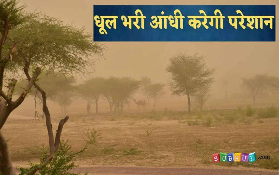 Haryana Weather News: हरियाणा में 55 KM की रफ्तार से चली धूल भरी आंधी, सैकड़ों पेड़ पौधे और खंभे उखड़े, 10 जिलों में आज फिर से बिगड़ेगा मौसम 