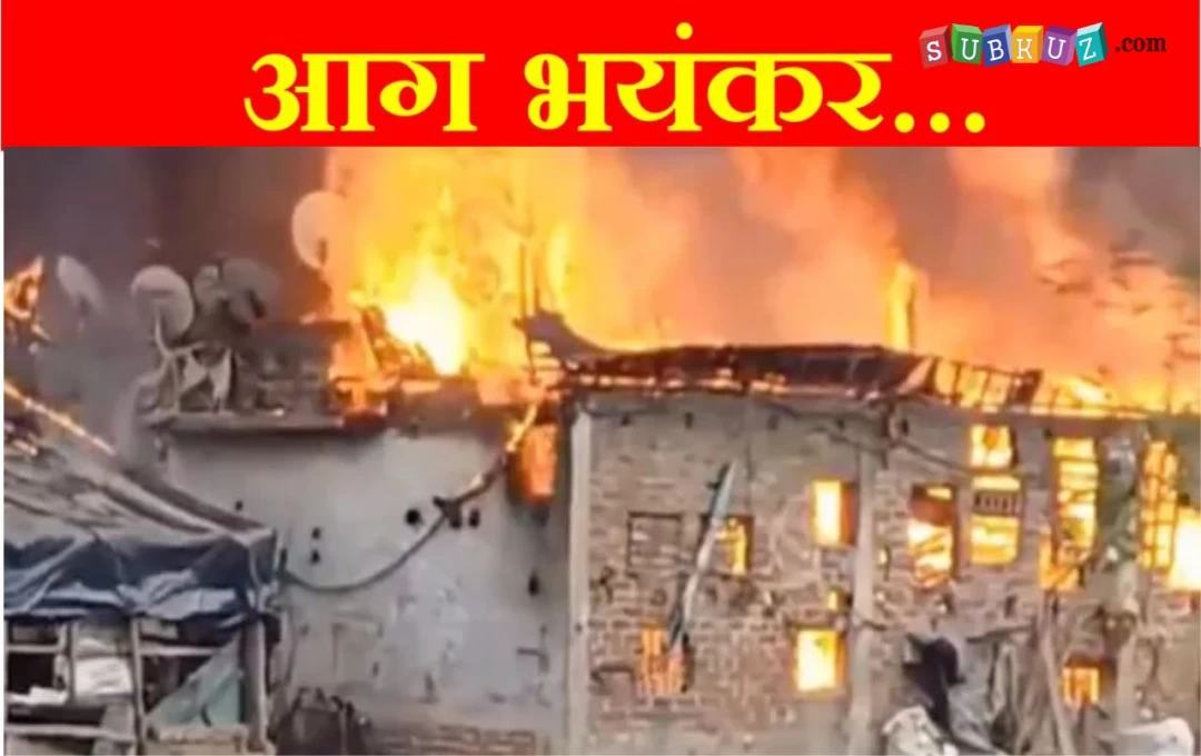 Haridwar Massive Fire News: श्यामपुर के दासोवाली गांव में लगी भयंकर आग, छोटी सी चिंगारी के कारण 20 झोपड़ियां जलकर राख; गाय और बकरियां झुलसी 