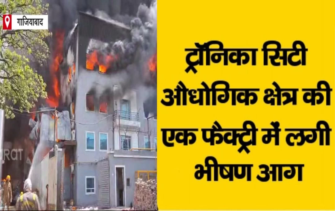 Ghaziabad Fire News: ट्रॉनिका सिटी की तीन फैक्ट्रियों में लगी भयंकर आग, फायर बिग्रेड की 10 से ज्यादा गाड़ियां लगी आग बुझाने में, जानें कैसे हुआ हादसा 