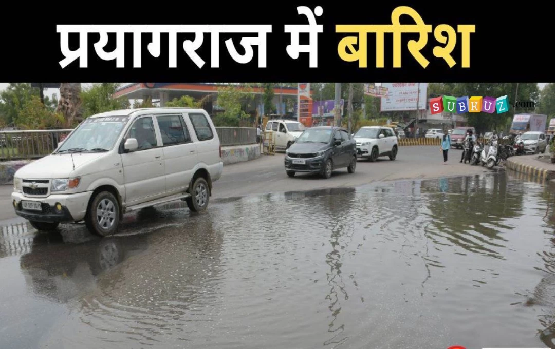 Monsoon In Prayagraj: संगमनगरी में मानसूनी बरसात ने दिलाई भीषण गर्मी से निजात, उमस से हो रहा था हाल बेहाल, आगामी दिनों में तेज बारिश का अलर्ट 