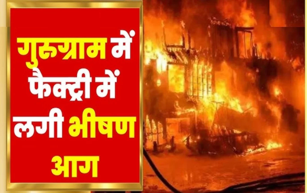 Gurugram Fire News: मेडिकल स्टोर में लगी खतरनाक आग, काबू पाने के लिए 30 से ज्यादा दमकल गाड़ियां जुटी, जानिए आखिर कैसे लगी आग? 