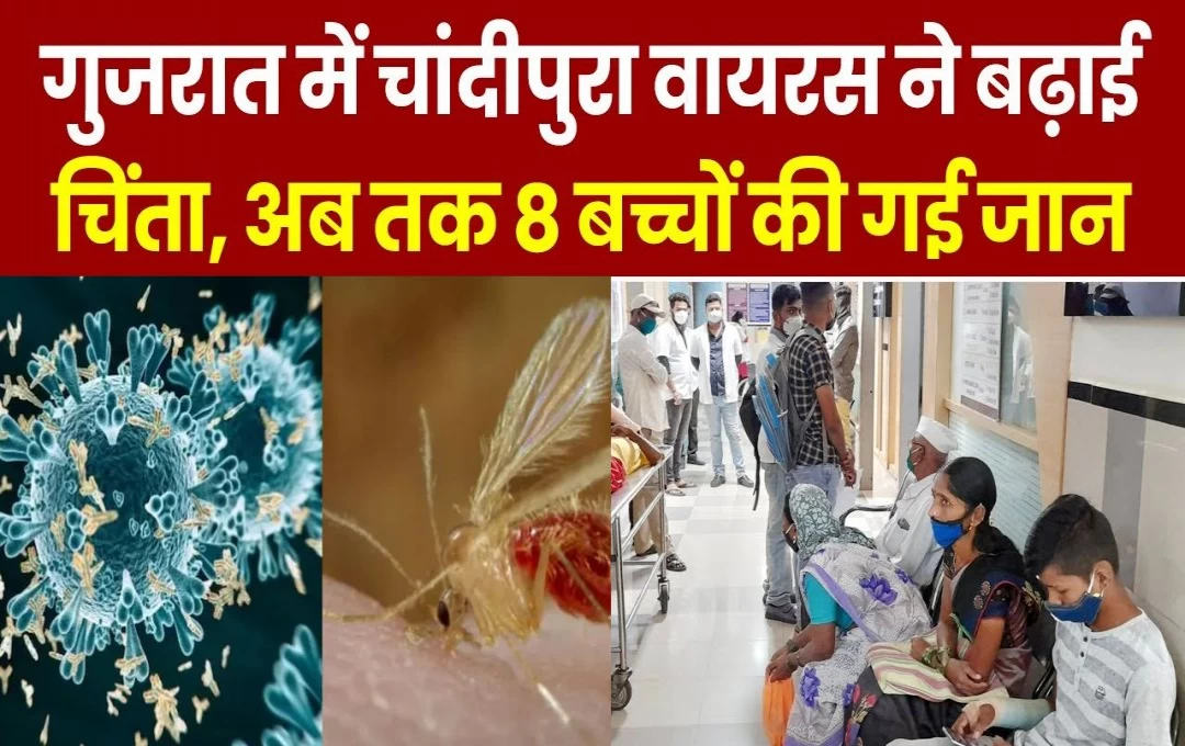 Chandipura Virus News: गुजरात में चांदीपुरा वायरस बरसा रहा कहर, एक महीने में 13 मामले सामने आने के बाद लोगों की बढ़ी चिंता; अब तक आठ बच्चों की मौत 