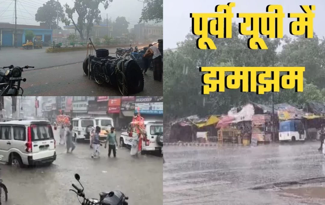 UP Weather News: मुजफ्फरनगर में अचानक मौसम ने ली करवट, एक घंटे झमाझम बारिश ने दिलाई उमस भरी गर्मी से राहत; सड़कों व कॉलोनियों में भरा पानी 