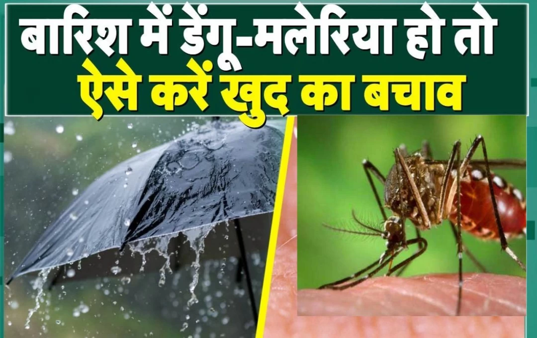 Monsoon Disease: मानसून के चलते हो सकती है कई प्रकार की बीमारियां, आइए जानते हैं इनसे बचने के तरीके 