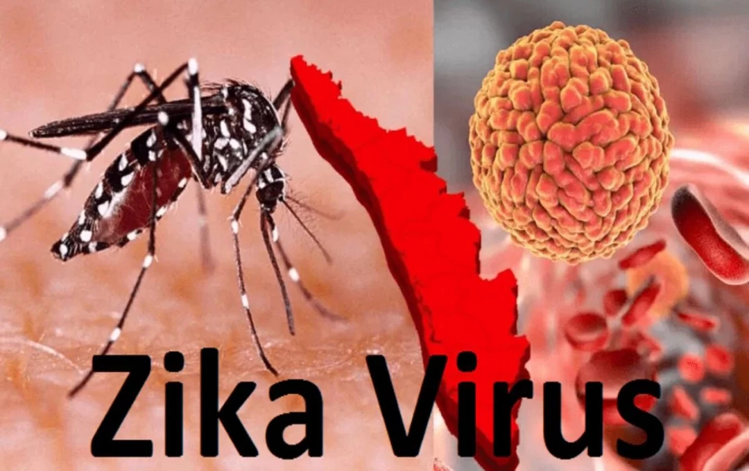 Zika Virus: जीका वायरस की चपेट में आने से पुणे शहर में चार लोगों की मौत; जून से अबतक 26 गर्भवती महिलाओं सहित 66 लोग संक्रमित, कैसे फैलता हैं ये वायरस