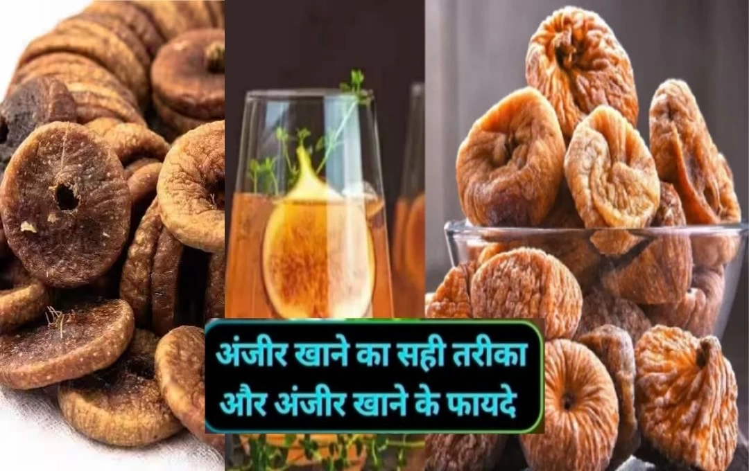 Anjeer Benefits: अंजीर खाने के हैं 7 बड़े फायदे, जानने के बाद आप भी शुरू कर देंगे खाना, अंग-अंग में ताकत भरता हैं ये ड्राई फ्रूट 