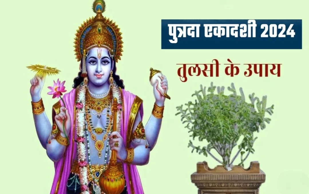 Putrada Ekadashi 2024: पुत्रदा एकादशी पर करें तुलसी की पूजा, विधि-विधान से पूजा करने पर कारोबार में मिलेगी सफलता, जानिए क्या करें उपाय?