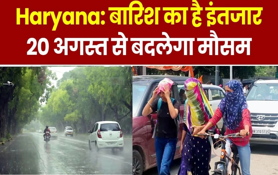 Haryana Weather News: हरियाणा में तीन दिन बारिश पर ब्रेक, 20 अगस्त के बाद मानसून पकड़ेगा रफ्तार, मौसम विभाग ने तेज बारिश की जताई संभावना 