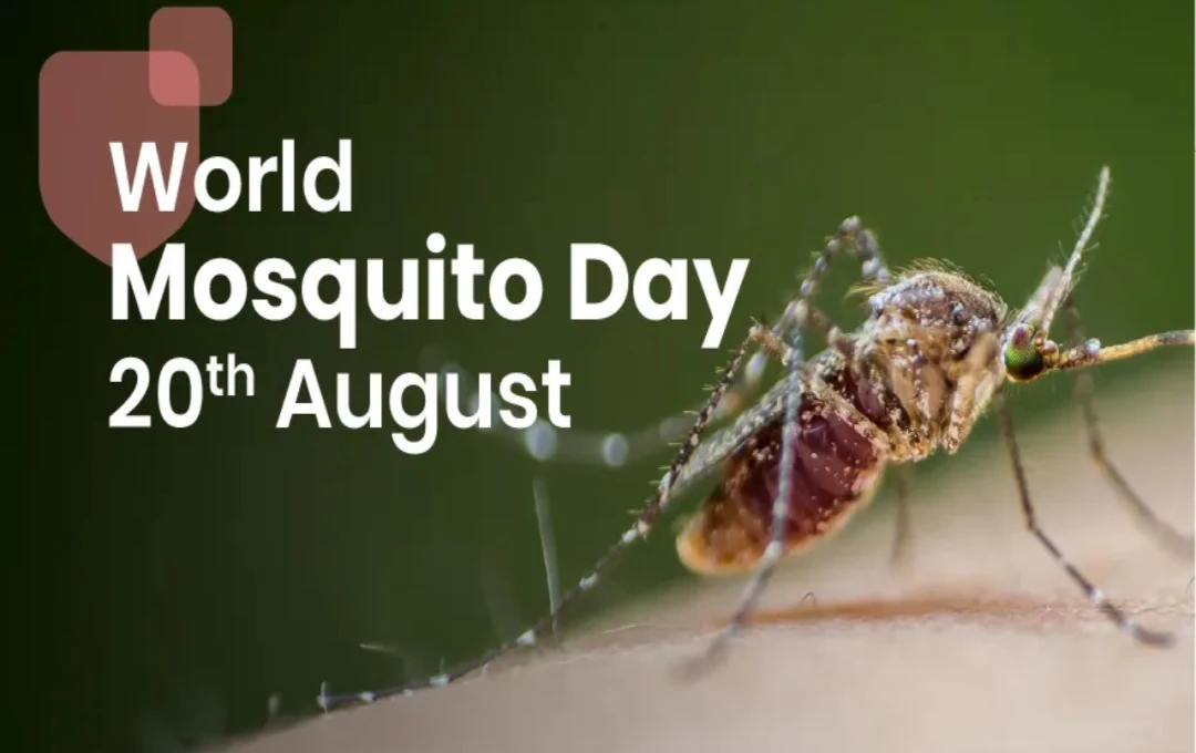 World Mosquito Day 2024: हर साल 20 अगस्त को मनाते है विश्व मच्छर दिवस, मच्छरों से होने वाली बीमारियों के प्रति जागरूक करना हैं इसका मुख्य मकसद 