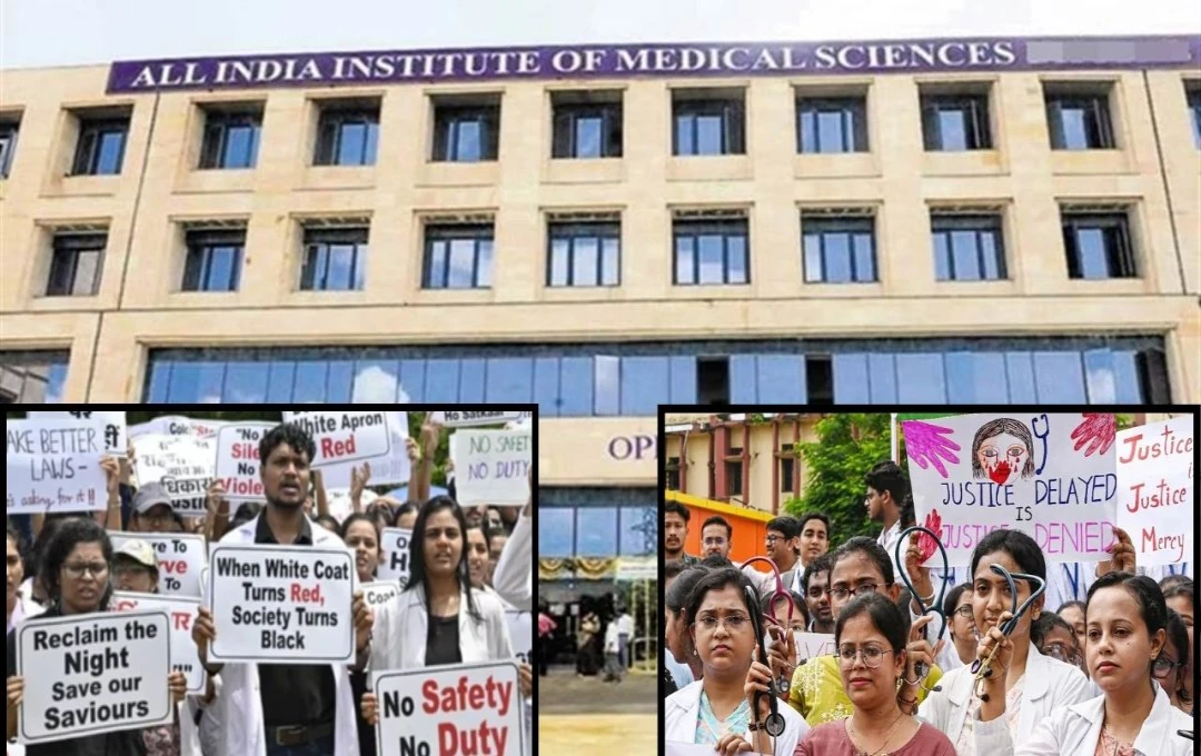 Doctors Strike: कोलकाता रेप केस! रेजिडेंट डॉक्टरों से हड़ताल बंद करने की मांग, AIIMS में मरीजों को हो रही परेशानी 