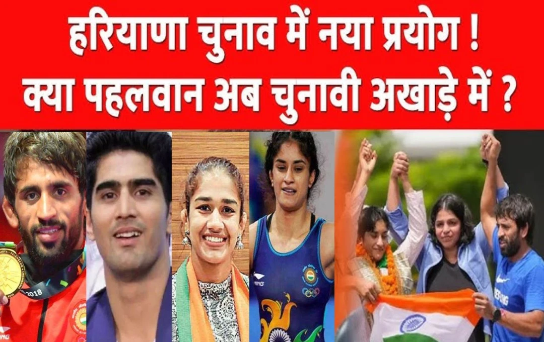 Haryana Election 2024: राजनीति के मैदान में उतरने के लिए तैयार पहलवान, योगेश्वर दत्त-बबीता फोगाट समेत कई खिलाड़ियों ने मांगा टिकट, जानें... 