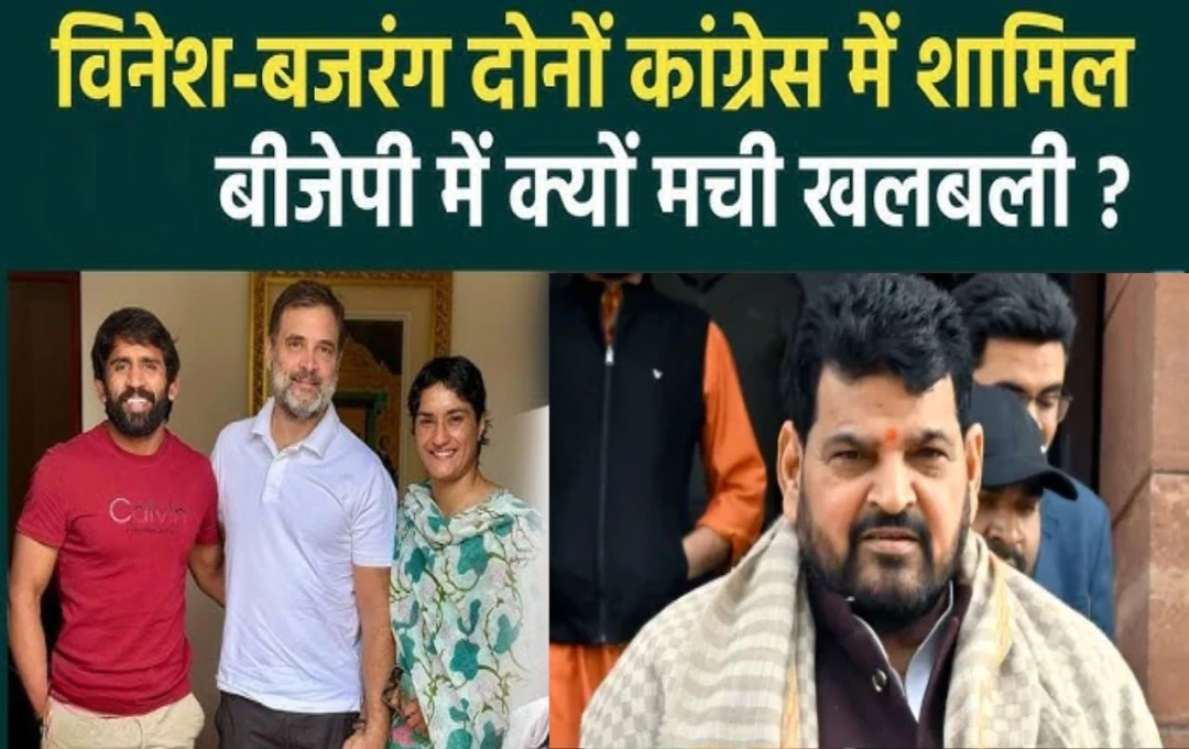 Haryana Election 2024: पहलवान बजरंग पुनिया और विनेश फोगाट कांग्रेस में हुए शामिल, BJP के बृजभूषण सिंह ने कहा - 'एक दिन कांग्रेस को पछतावा होगा'