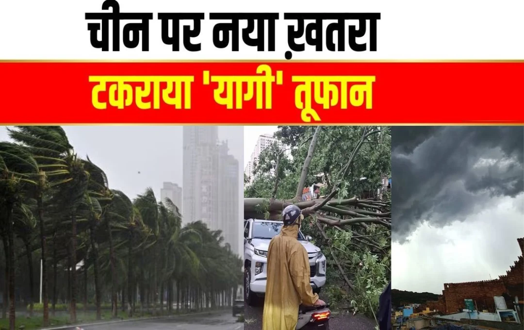 World News: चीन में 'यागी' तूफान ने बरसाया कहर, तूफान की चपेट में आने से दो की मौत और 92 लोग घायल; मौसम विभाग ने जारी किया रेड अलर्ट 