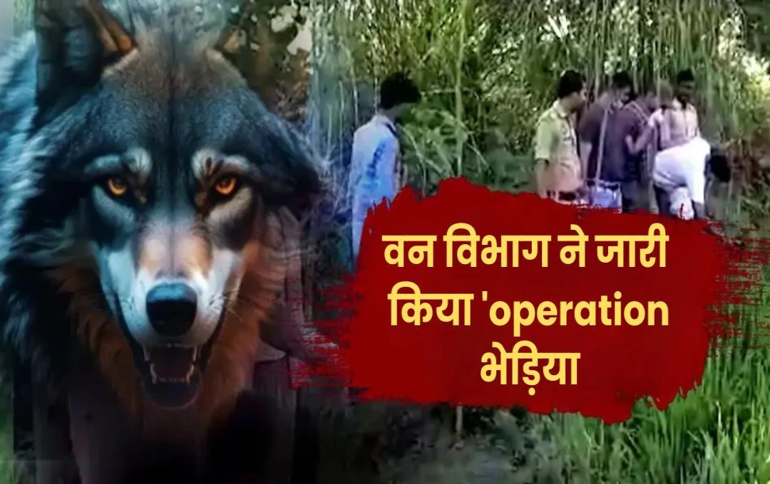 The Terror of the Wolf: यूपी के बहराइच में मचा भेड़िया का आतंक, वन विभाग ने जारी किया 'operation भेड़िया' 