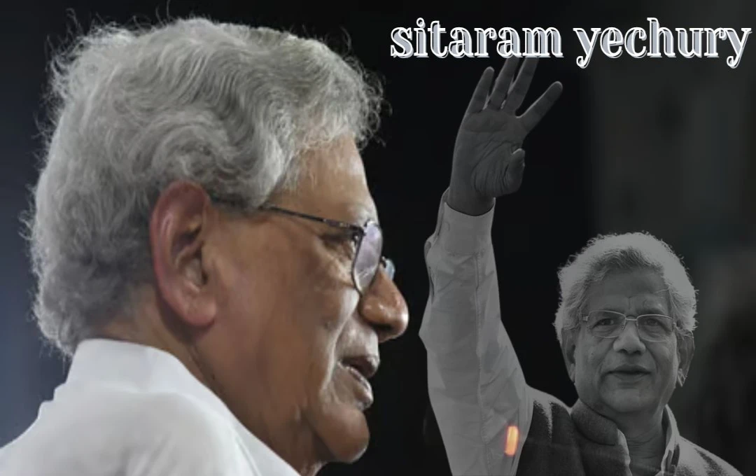 Sitaram Yechury Passes Away: सीताराम येचुरी का ऑल इंडिया टॉपर से सियासत का सफर! तमिलनाडु से वामपंथ के गढ़ तक.... ऐसे की थी यात्रा