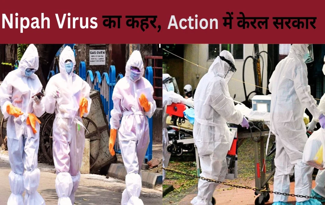 Nipah Virus: Nipah वायरस से सावधान! 24 वर्षीय युवक की मौत, एक्शन में केरल सरकार 