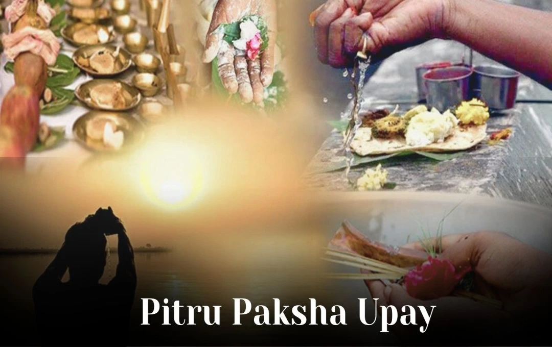 Pitru Paksha Upay: पितृ दोष से कैसे पाएं छुटकारा? बेलपत्र और काले तिल से जुड़े करें सबसे सर्वश्रेष्ठ उपाय 