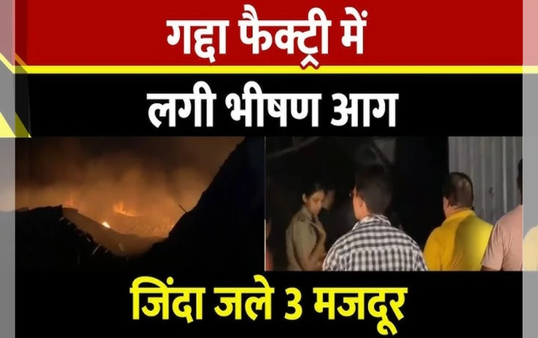 Punjab Fire News: बठिंडा की हेरिटेज गद्दा फैक्ट्री में लगी भयंकर आग, तीन मजदूरों की हुई दर्दनाक मौत, आग बुझाने में लगी 70 दमकल