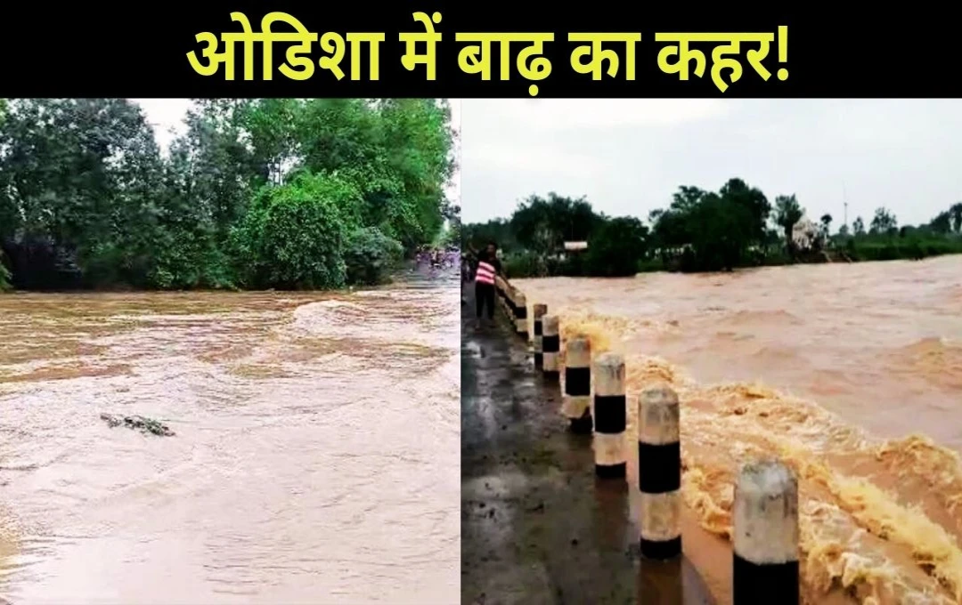 Odisha: ओडिशा में बाढ़ का कहर! 4 जिलों के 40,000 से अधिक लोग प्रभावित, 11 हजार को सुरक्षित स्थान पर किया शिफ्ट