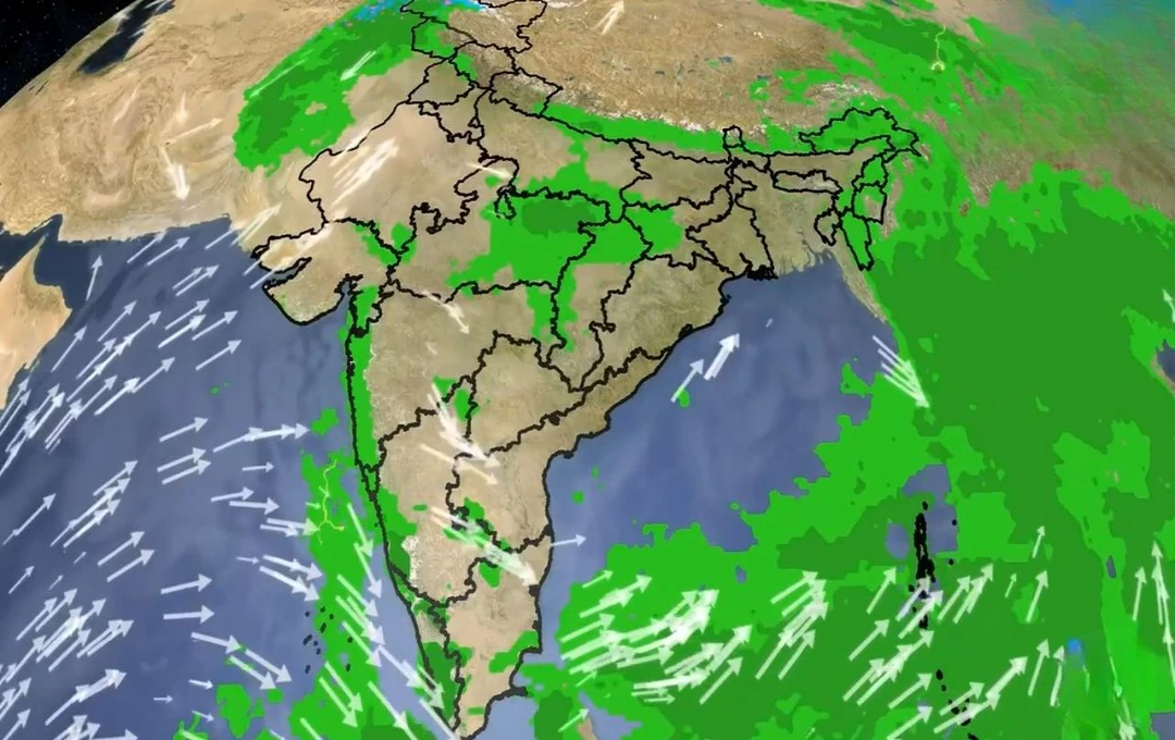 मौसम अपडेट: 20 सितंबर 2024