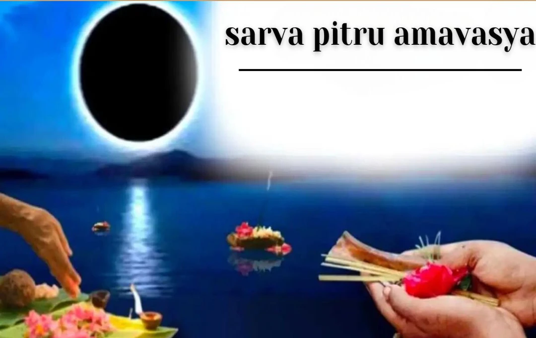 Sarva Pitru Amavasya 2024: कब है सर्वपितृ अमावस्या? 01 या 02 October? जानें डेट और पूर्वजों की पूजा विधि 