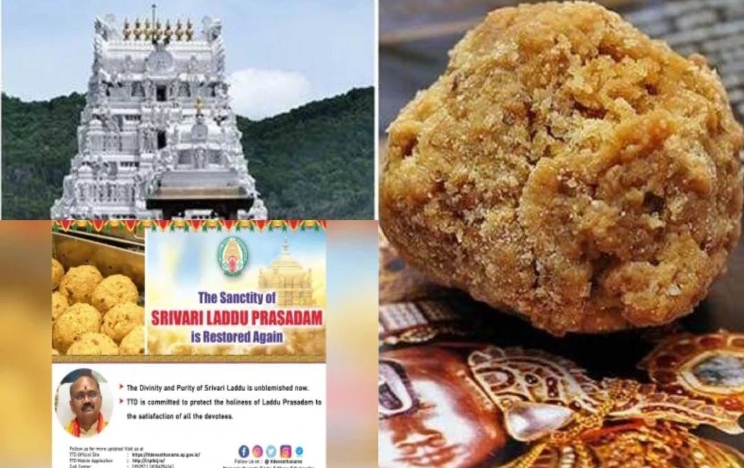 Tirupati Laddu Vivad: तिरुपति लड्डू विवाद के बीच TTD ने दिया बयान, कहा- 'बहाल की गई प्रसाद की पवित्रता', जानिए क्या है विवाद?