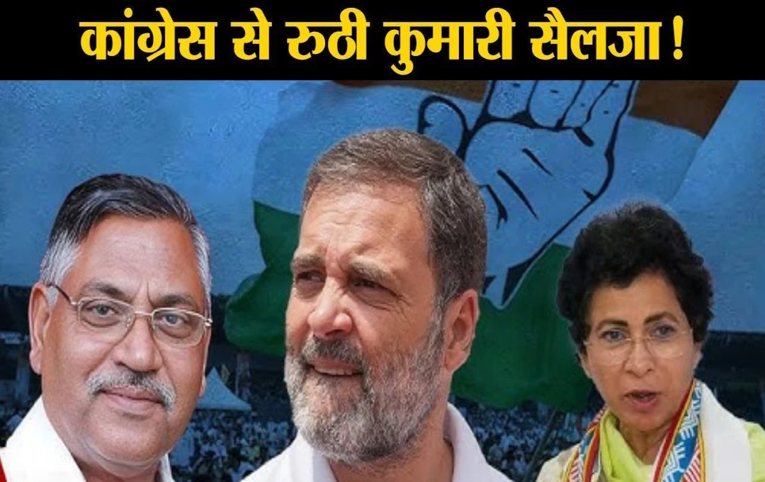 Haryana Election 2024: क्या सैलजा की दूर होगी नराजगी?, कांग्रेस हाईकमान ने हुड्डा को दी जिम्मेदारी