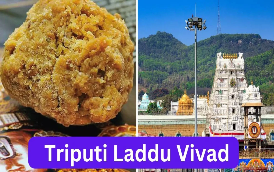 Triputi Laddu Vivad: ऐसा क्या हुआ जिससे तिरुपति मंदिर के लड्डू में हुई पूरी गड़बड़? जगनमोहन ने बदला कौन-सा नियम? पढ़ें पूरी जानकारी 