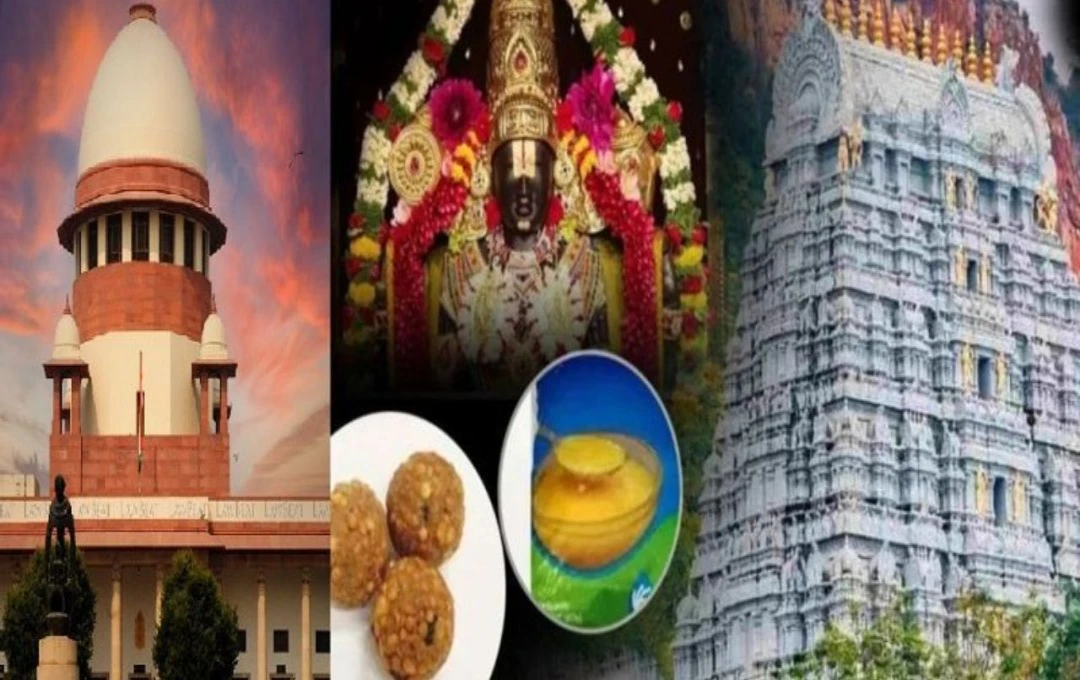 Tirupati Laddu Vivad: तिरुपति बालाजी मंदिर प्रसाद मामले में सुप्रीम कोर्ट में दायर हुई याचिका, घी सप्लाई करने वाले के खिलाफ FIR दर्ज, पढ़ें...