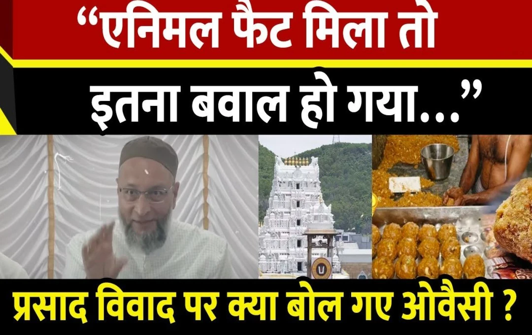 Tirupati Laddu Vivad: तिरुपति मंदिर लड्डू विवाद पर बोले ओवैसी, कहा - 'जानवर की चर्बी मिली तो इतना बड़ा बवाल हो गया', ऐसा नहीं होना चाहिए ये... 