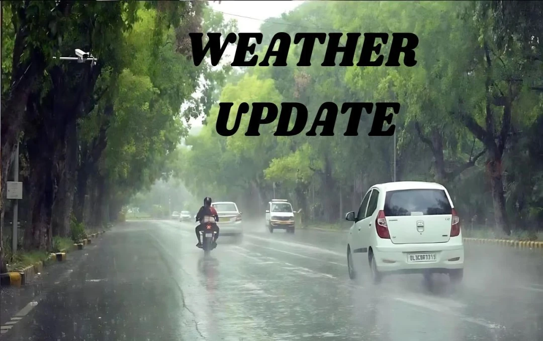 Weather Update: बारिश ने किया उमस को खत्म, तापमान 30 डिग्री सेल्सियस से नीचे गिरा