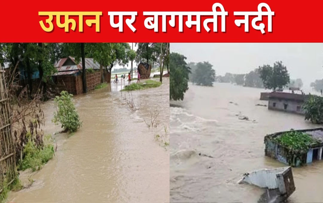 Bihar Flood: शिवहर में हाहाकार... बागमती नदी का उफान, तबाही के मंजर पर जिला प्रशासन की निगरानी 