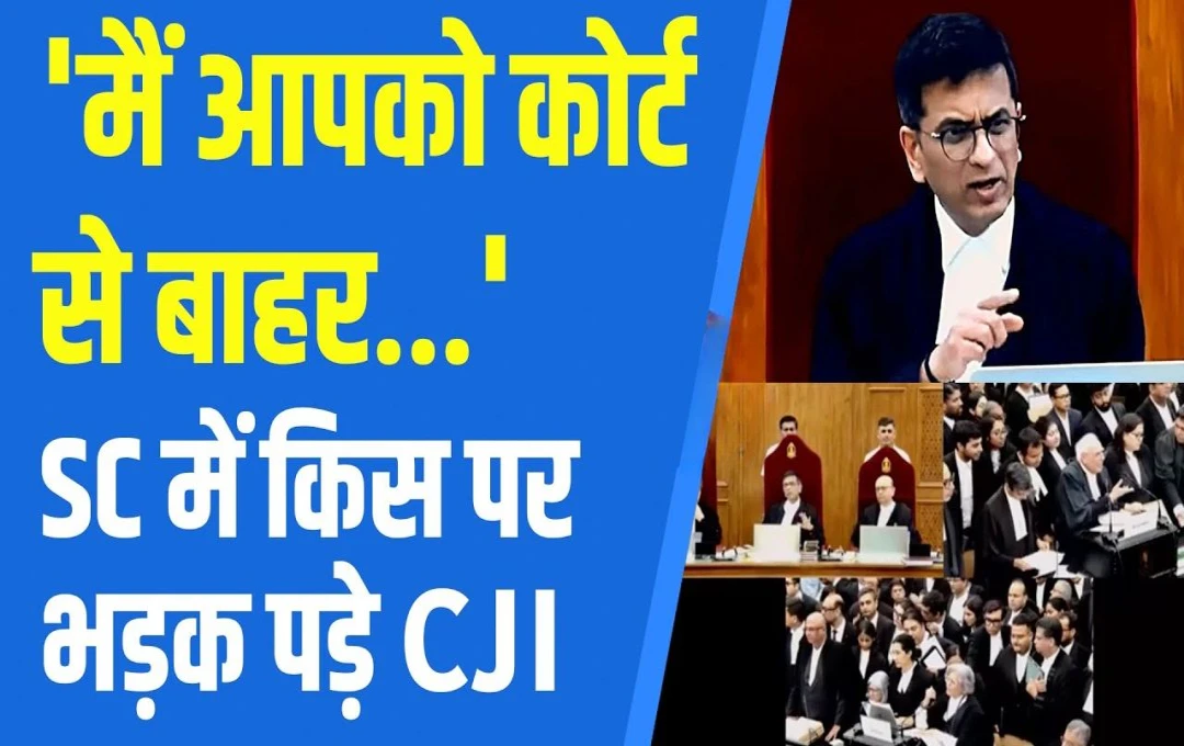 SC CJI Chandrachud: गलत शब्दों को सुनकर वकील पर भड़के CJI चंद्रचूड़, कहा - 'ये कोई कॉफी शॉप नहीं, कोर्ट है', पढ़ें पूरी खबर 